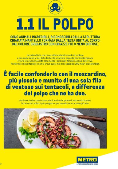 Volantino METRO - Metro - Catalogo Surgelati valido dal 01/01 al 31/12 - pagina 13