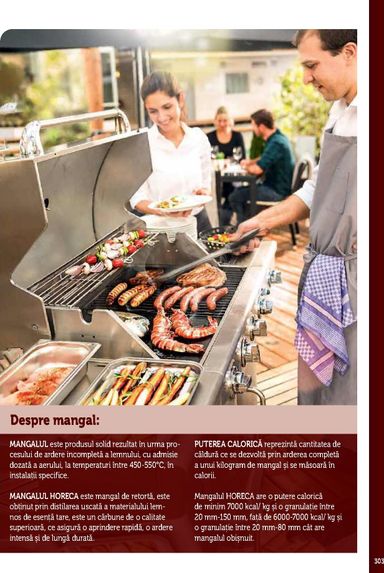 Catalogul Metro - Metro - Echipamente Profesionale pentru HoReCa de la 01.01. până la 31.12. - pagina 303