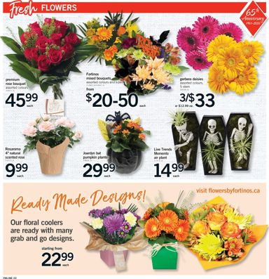 Flyer Fortinos - Fortinos valid since 10-22 until 10-28 - page 19