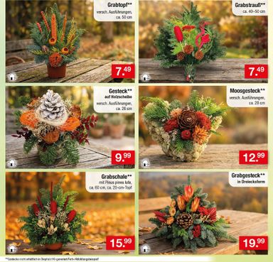 Prospekt Zimmermann - Zimmermann gültig ab 02.11. bis 07.11. - seite 36
