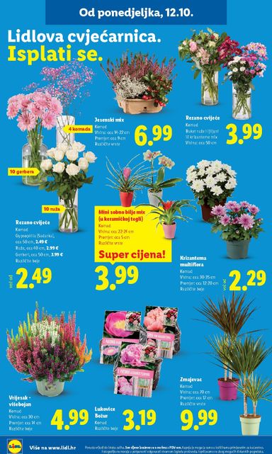 Katalog Lidl - Lidl vrijedi od 12.10. do 18.10. - stranica 36