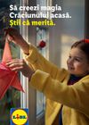 Lidl - Decorațiuni