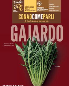 Conad City - Gajardo